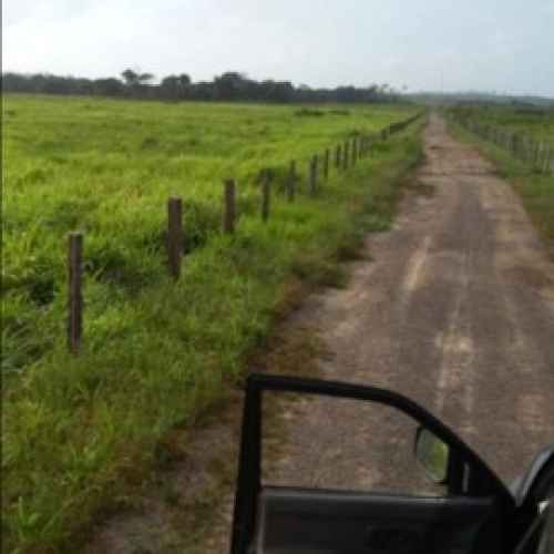 Brasilien 11'945 Ha grosse Rinderfarm be
