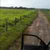 Brasilien 11'945 Ha grosse Rinderfarm be