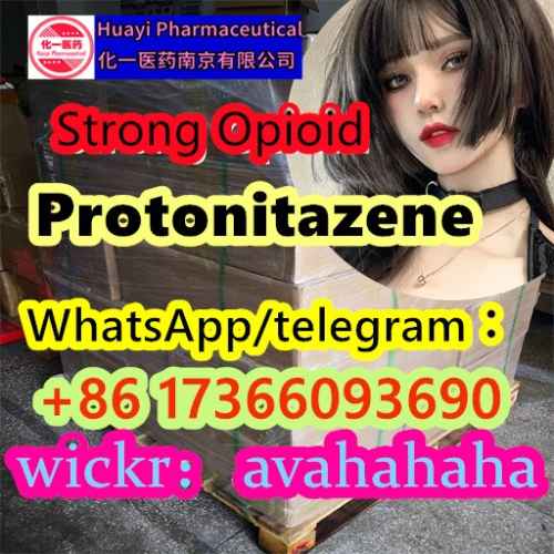 Protonitazene 95958-84-2 119276-01-6 Pro